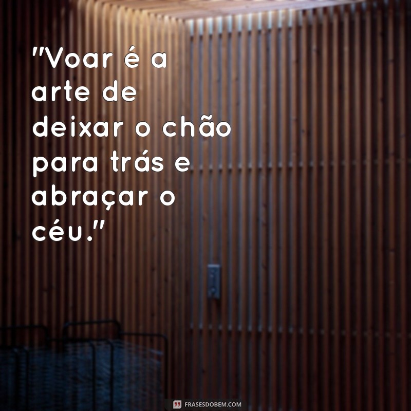 frases sobre voo 