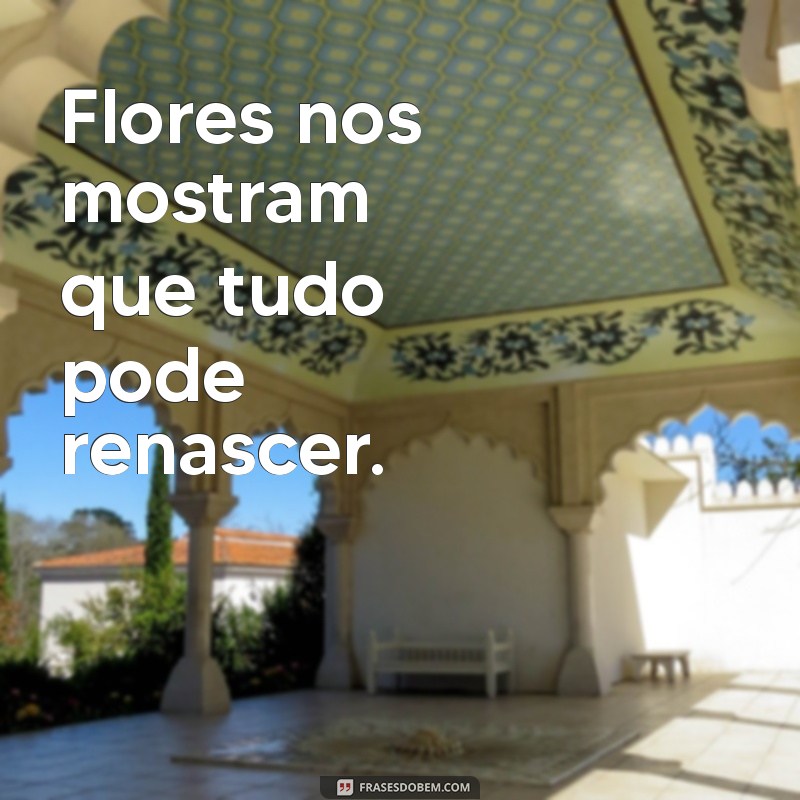 As Melhores Frases para Acompanhar Suas Fotos de Flores 