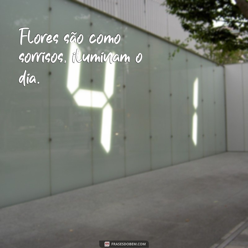 As Melhores Frases para Acompanhar Suas Fotos de Flores 