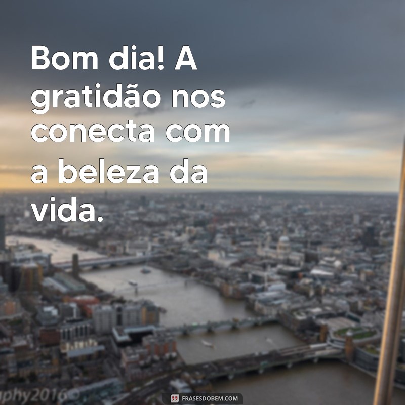 Frases de Gratidão para Começar o Dia com Positividade 