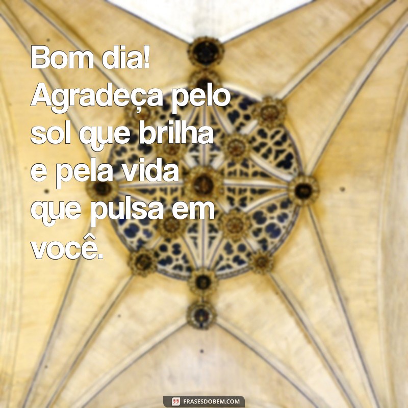 Frases de Gratidão para Começar o Dia com Positividade 