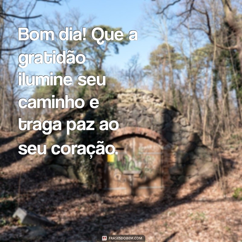 bom dia frases de gratidão Bom dia! Que a gratidão ilumine seu caminho e traga paz ao seu coração.