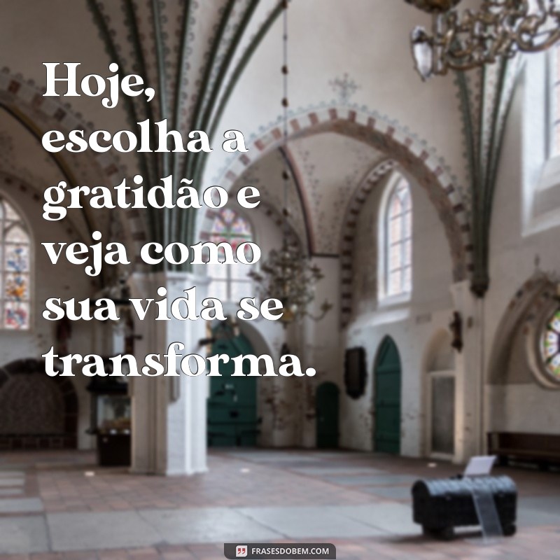 Frases de Gratidão para Começar o Dia com Positividade 