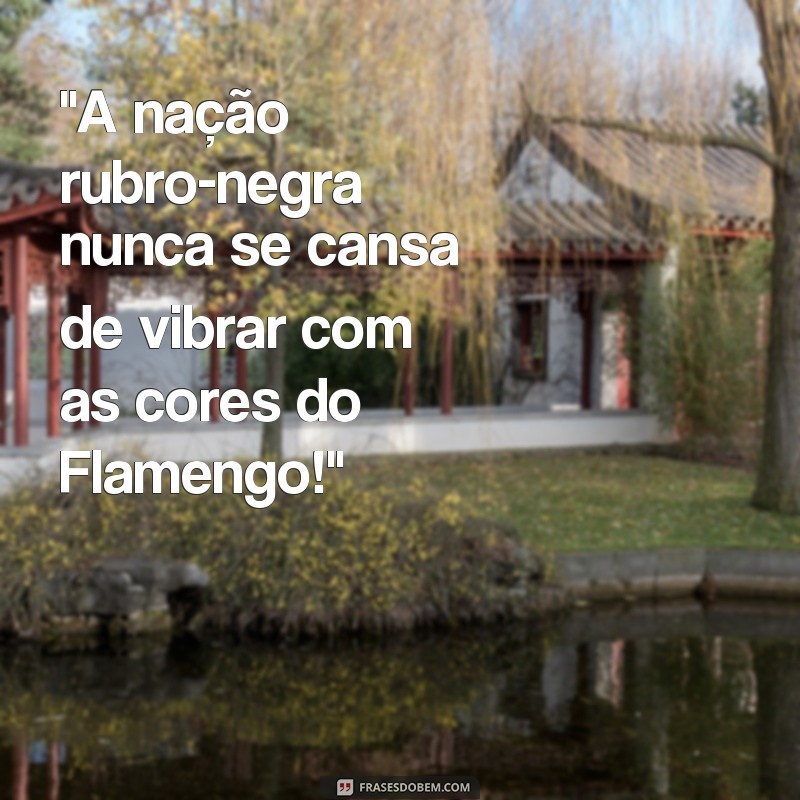 frases imagens do flamengo 
