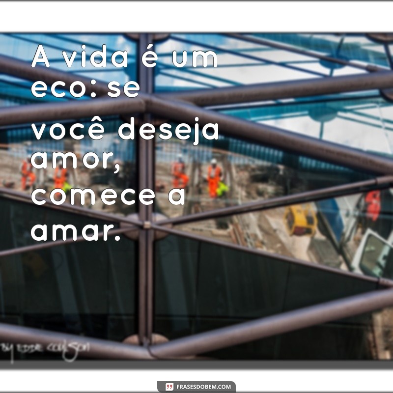 seja recíproco em tudo até a indiferença A vida é um eco: se você deseja amor, comece a amar.