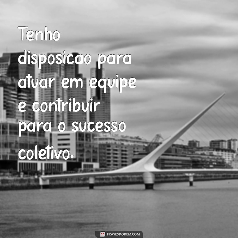 Como Montar um Currículo Sem Experiência: Dicas e Exemplos Práticos 