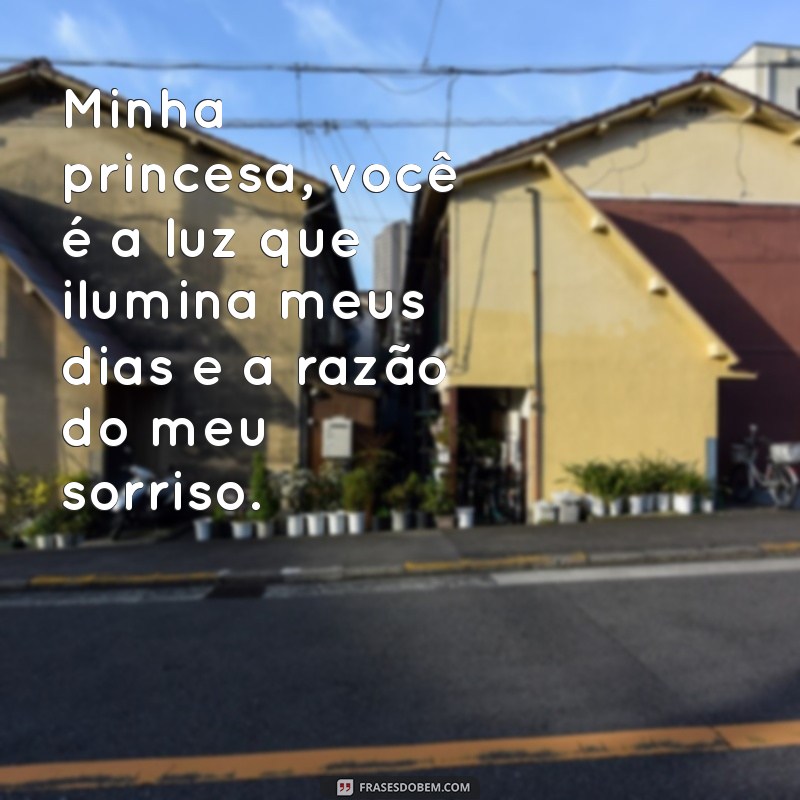 declaração de amor para minha princesa Minha princesa, você é a luz que ilumina meus dias e a razão do meu sorriso.