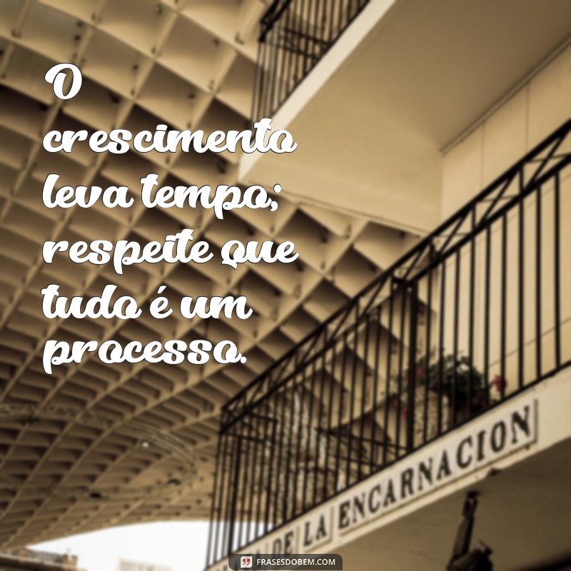 Frases Inspiradoras sobre o Processo de Crescimento e Aprendizado 