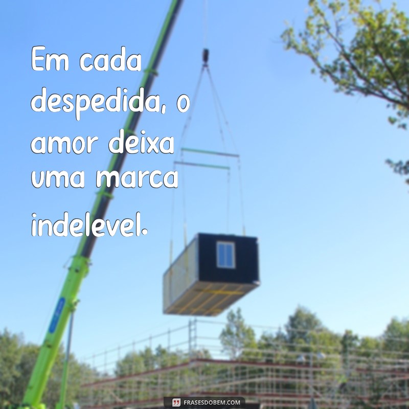 Frases Inspiradoras sobre Amor para Aquecer seu Coração 