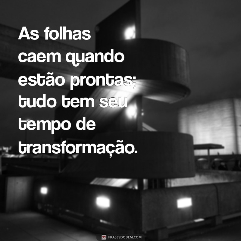 Descubra o Poder da Frase Tudo Tem Seu Tempo para Transformar Sua Vida 