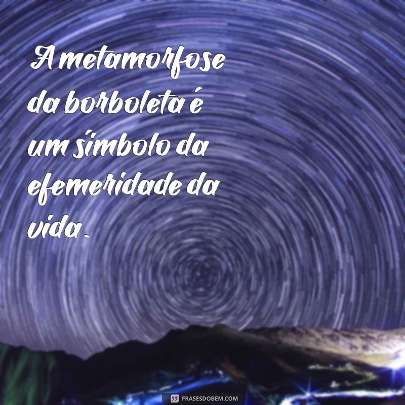 Descubra a Vida das Borboletas: Quantos Dias Elas Realmente Vivem? 