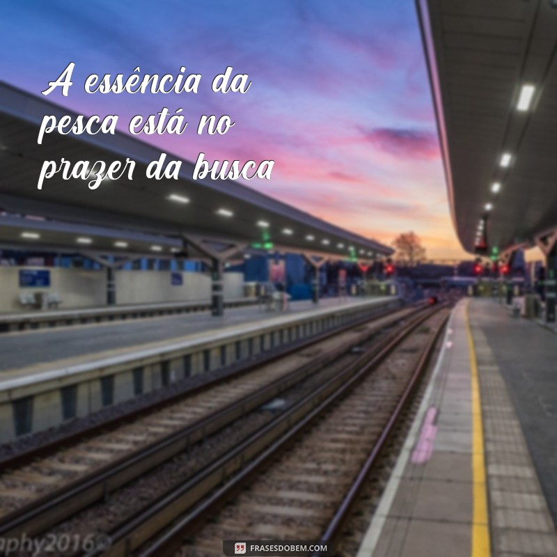 Melhores Frases de Pescaria para Arrasar nas Suas Fotos 