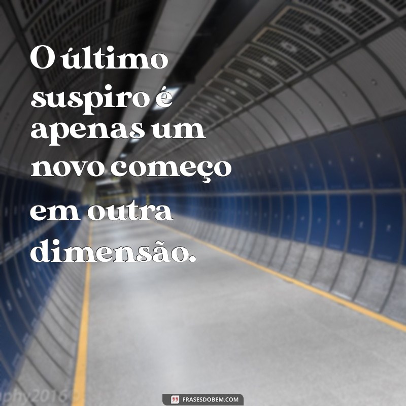 Frases Reflexivas sobre a Morte: Conforto e Sabedoria em Momentos Difíceis 