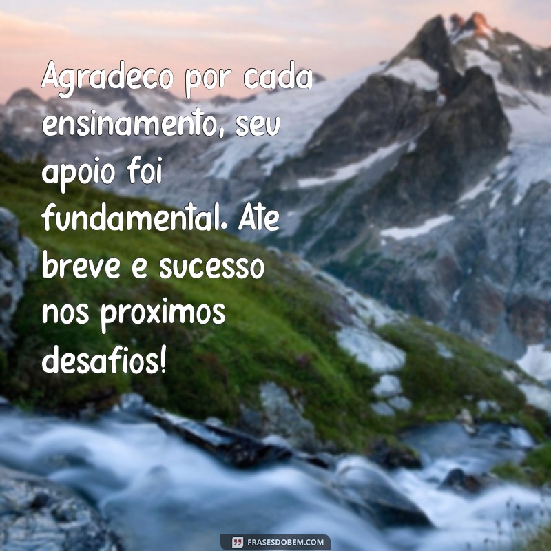 mensagem despedida chefe de trabalho Agradeço por cada ensinamento, seu apoio foi fundamental. Até breve e sucesso nos próximos desafios!