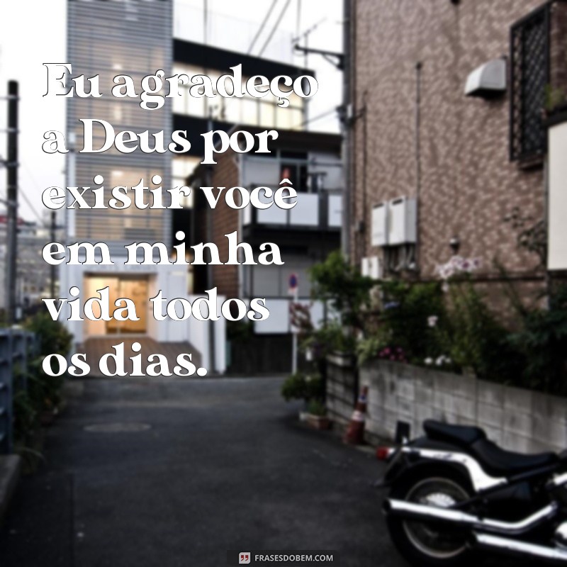 frases eu agradeco a Deus por existir você Eu agradeço a Deus por existir você em minha vida todos os dias.