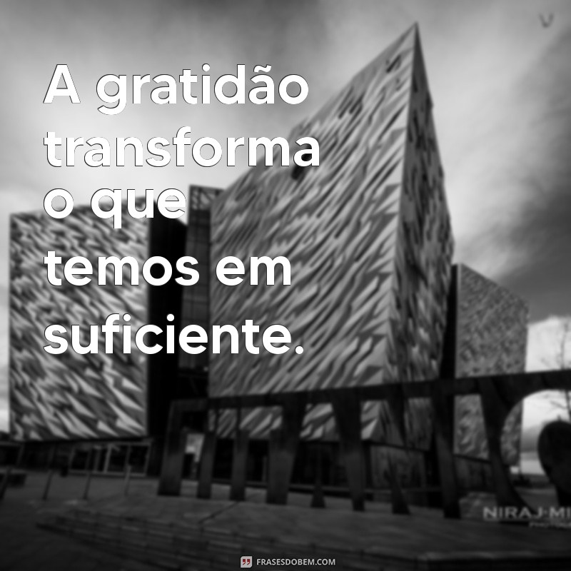 frases sobre gratidao A gratidão transforma o que temos em suficiente.