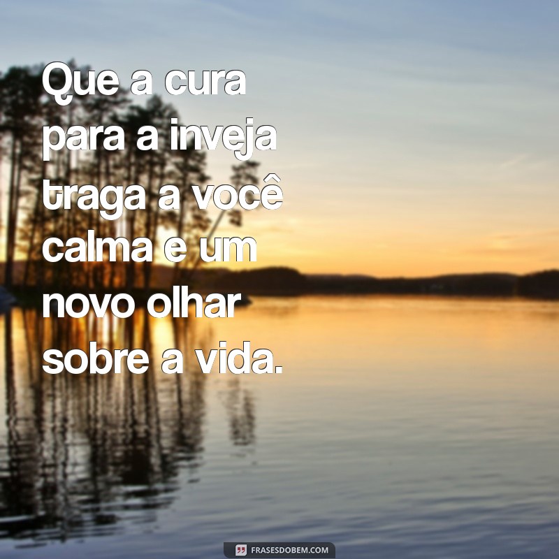 A Inveja é uma Doença: Como Superar e Encontrar a Cura Emocional 