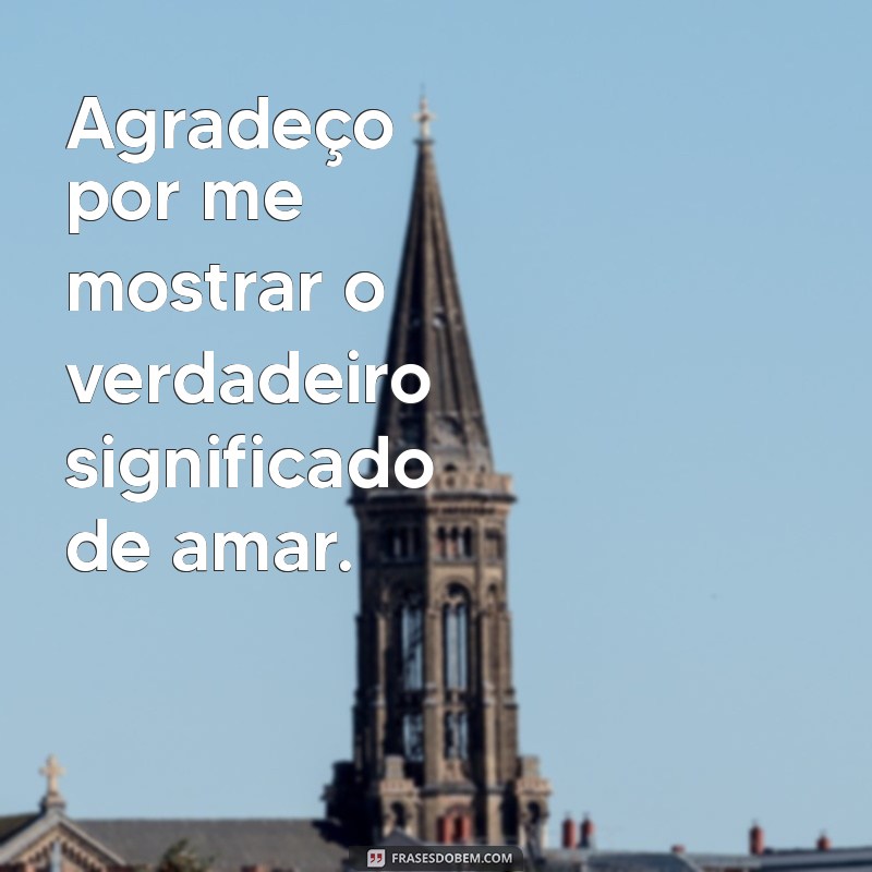 Frases Inspiradoras de Gratidão para Agradecer ao Dono dos Seus Dias 