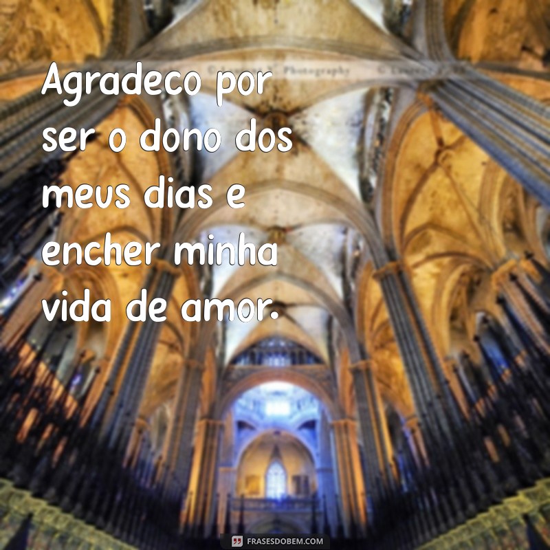 Frases Inspiradoras de Gratidão para Agradecer ao Dono dos Seus Dias 