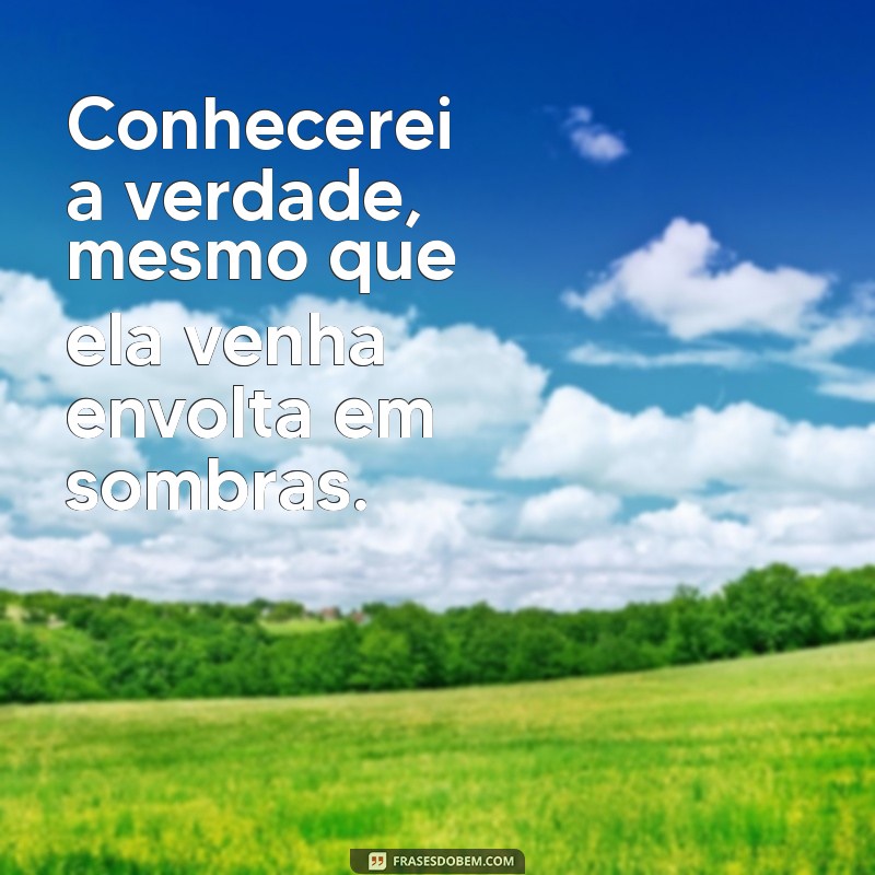 conhecerei a verdade Conhecerei a verdade, mesmo que ela venha envolta em sombras.