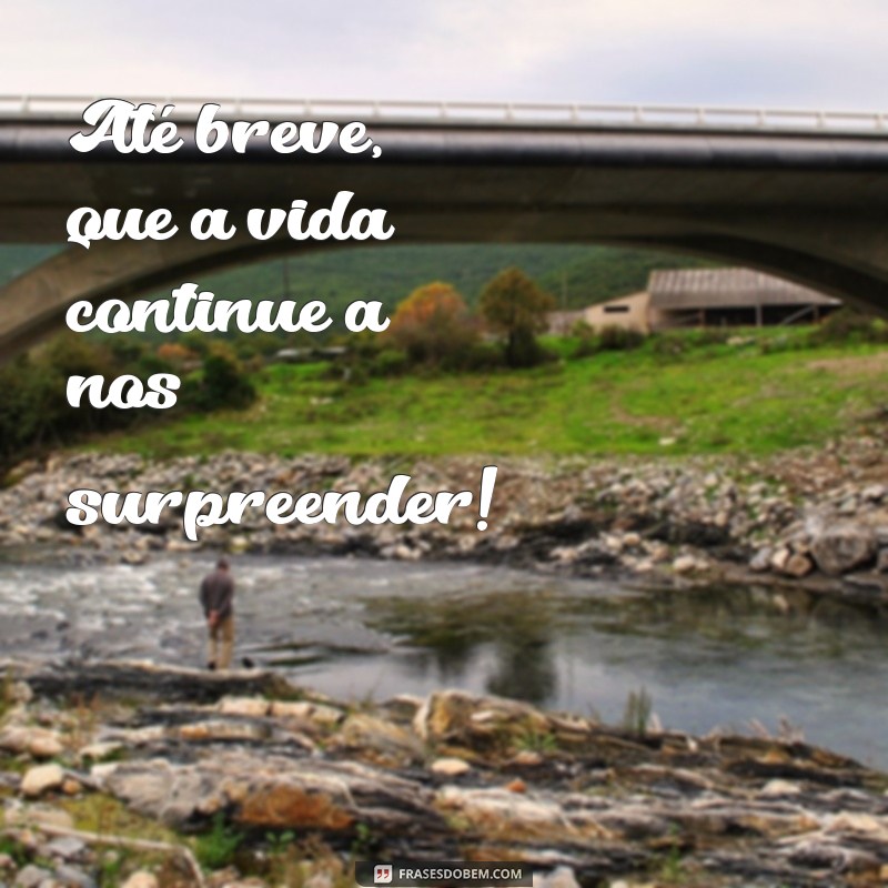 frases de até breve Até breve, que a vida continue a nos surpreender!