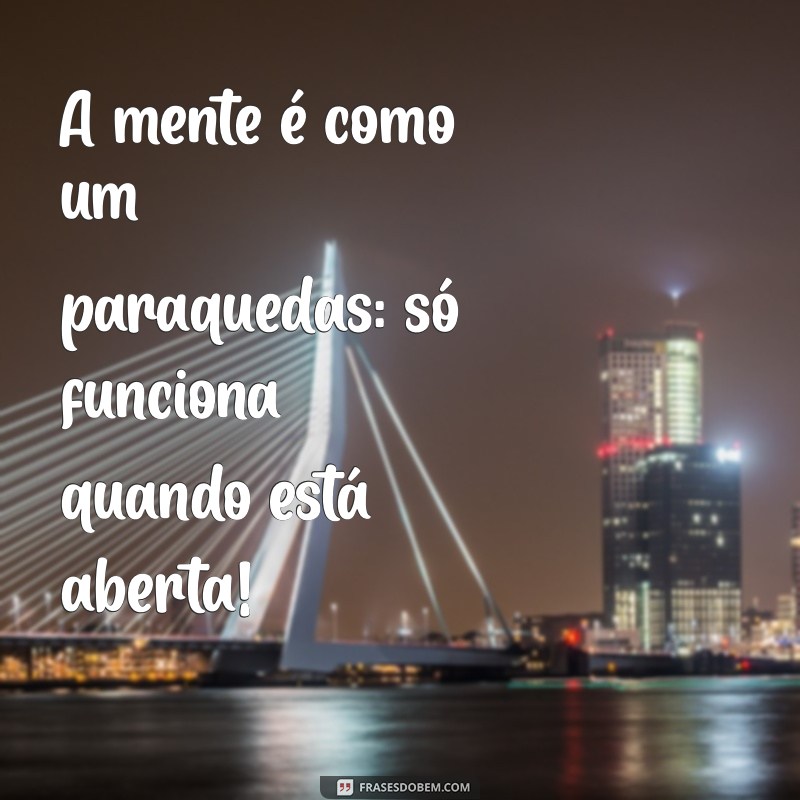 As Melhores Frases Engraçadas para Definir um Besta 