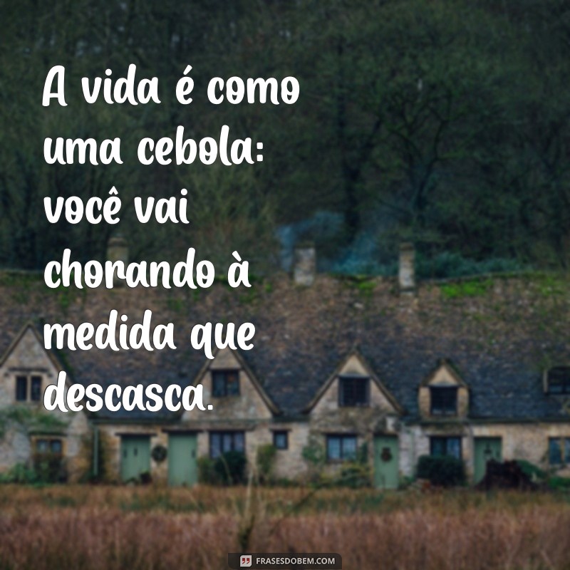 As Melhores Frases Engraçadas para Definir um Besta 