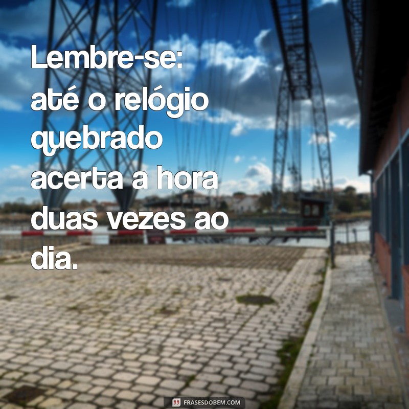 As Melhores Frases Engraçadas para Definir um Besta 