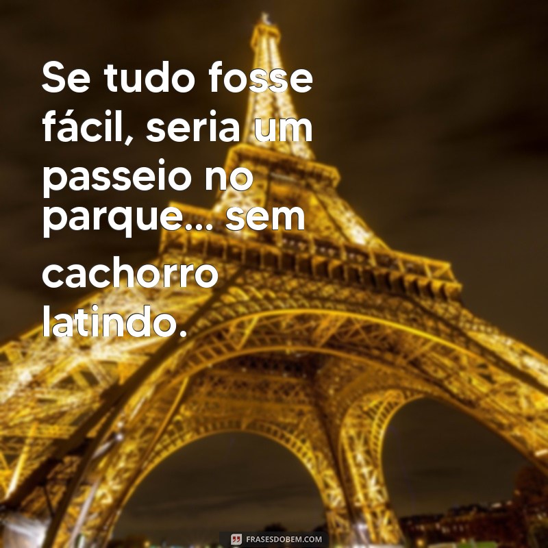 As Melhores Frases Engraçadas para Definir um Besta 