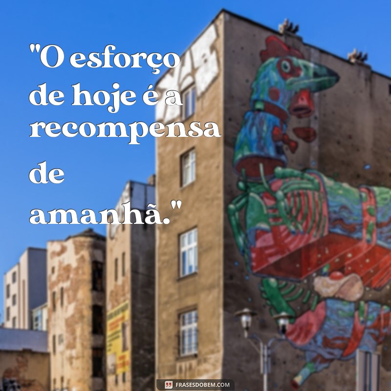 frases sobre esforço e recompensa 