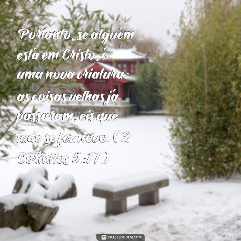 frases nova criatura versículos Portanto, se alguém está em Cristo, é uma nova criatura; as coisas velhas já passaram, eis que tudo se fez novo. (2 Coríntios 5:17)