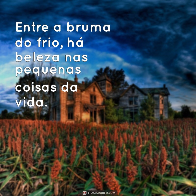 Frases Inspiradoras para Aquecer Seu Dia Frio 