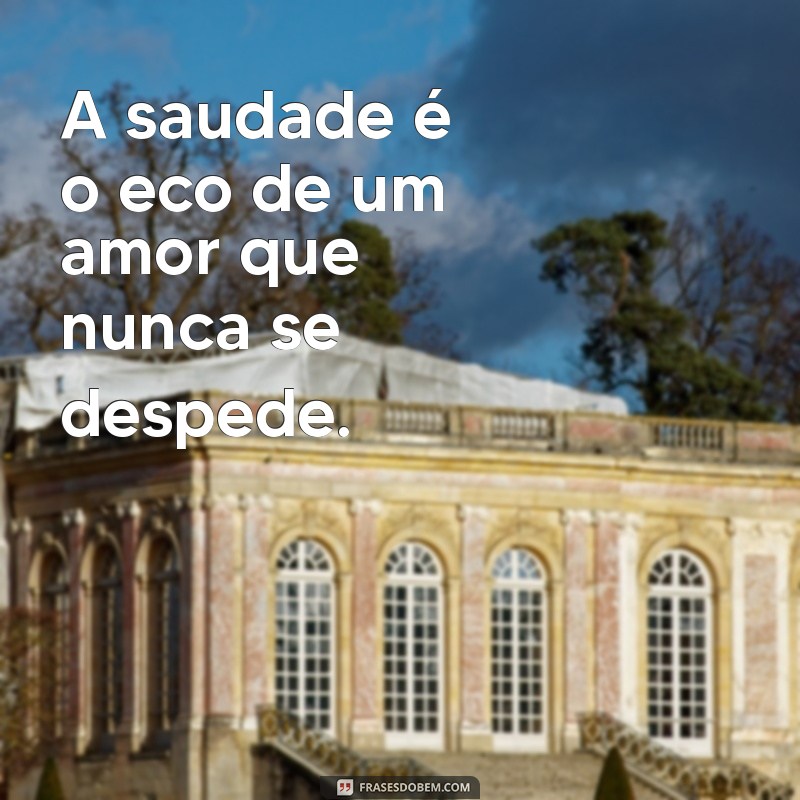 mensage de luto A saudade é o eco de um amor que nunca se despede.