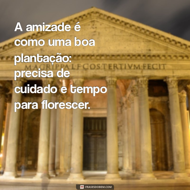 Frases Inspiradoras para Celebrar a Vida no Interior e na Roça 