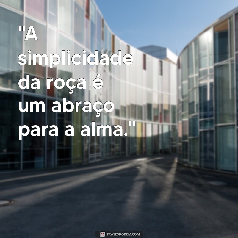 frases interior roça 