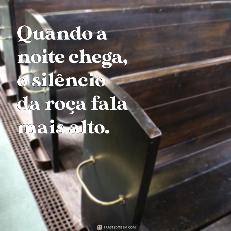 Frases Inspiradoras para Celebrar a Vida no Interior e na Roça 