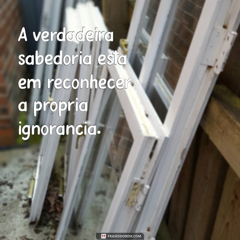 Descubra as Melhores Frases sobre Sabedoria para Inspirar sua Vida 