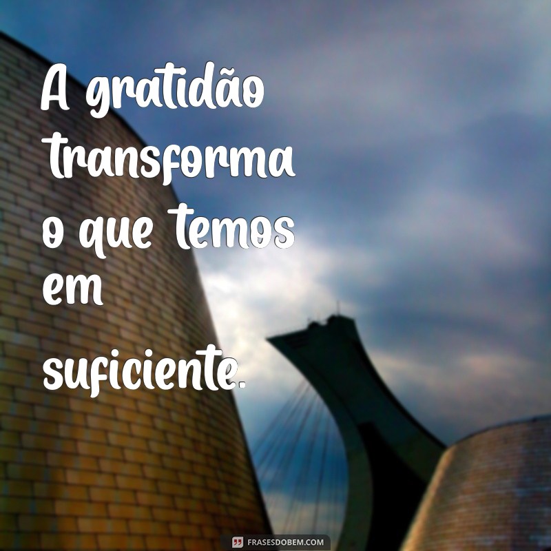 uma frases de agradecimento A gratidão transforma o que temos em suficiente.