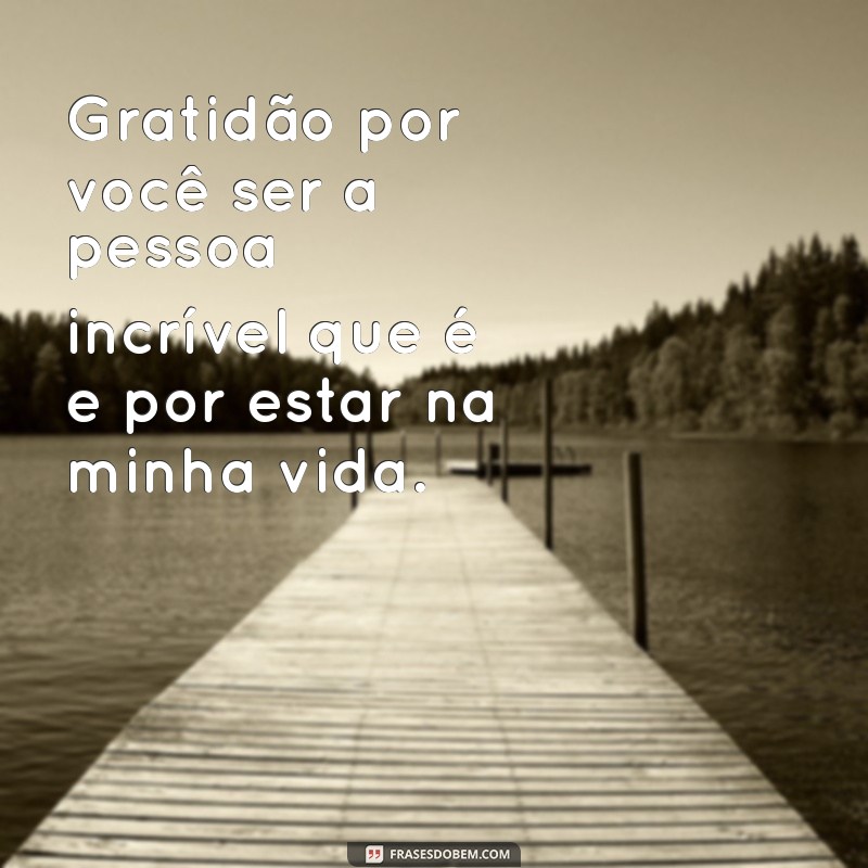 Frases Inspiradoras de Gratidão para Celebrar a Amizade 