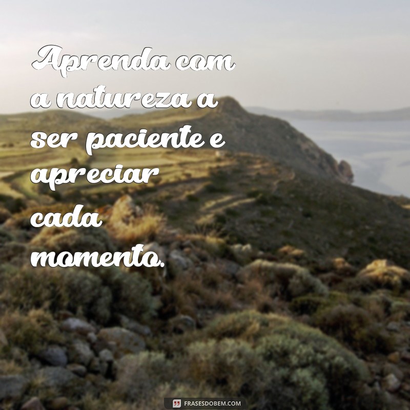 Descubra as Melhores Frases para Inspirar seu Passeio na Natureza! 