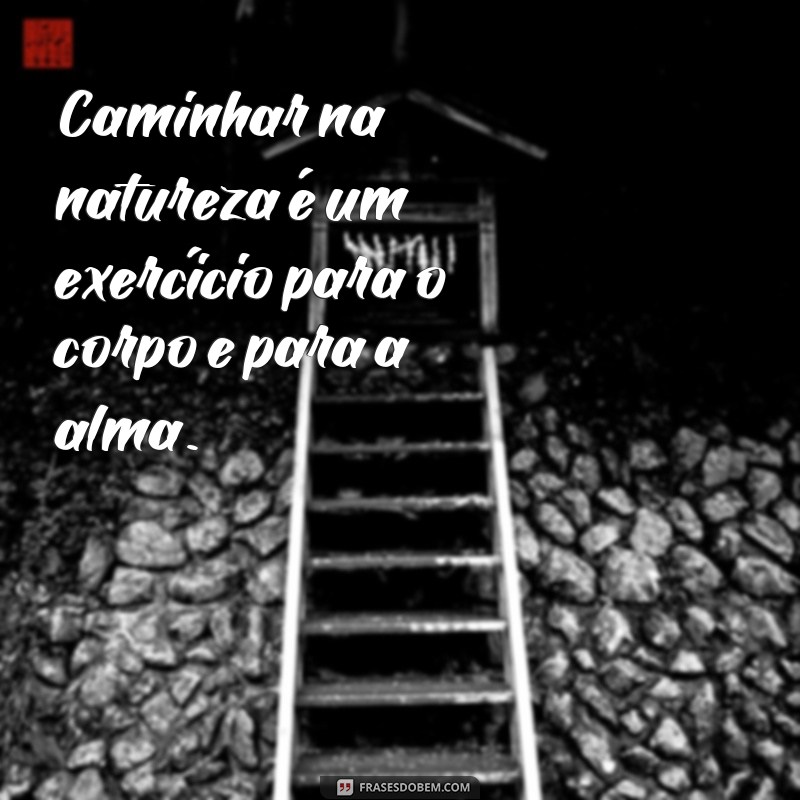 Descubra as Melhores Frases para Inspirar seu Passeio na Natureza! 