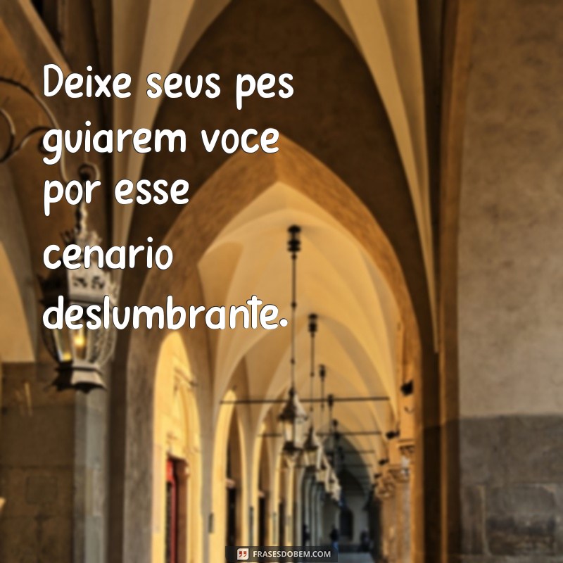 Descubra as Melhores Frases para Inspirar seu Passeio na Natureza! 