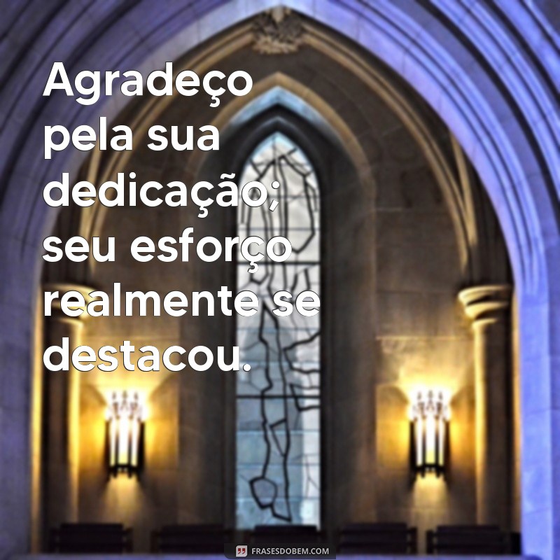 feedback frases Agradeço pela sua dedicação; seu esforço realmente se destacou.