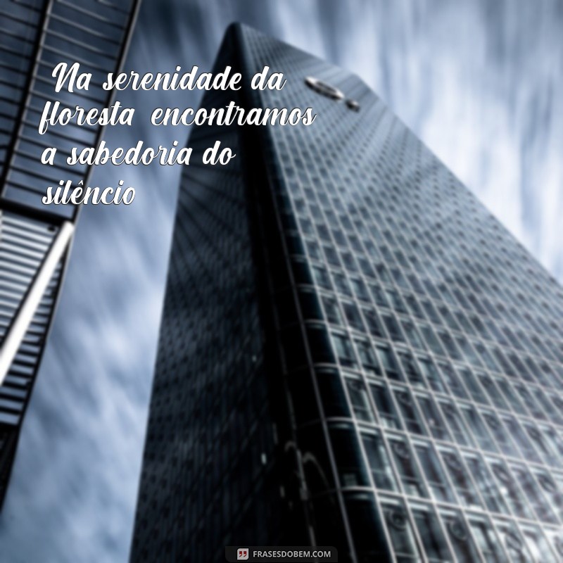 frases de oxóssi pensador 