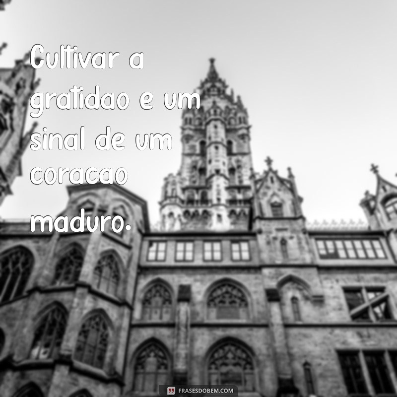 29 Frases Inspiradoras sobre Maturidade Emocional para Refletir e Crescer 