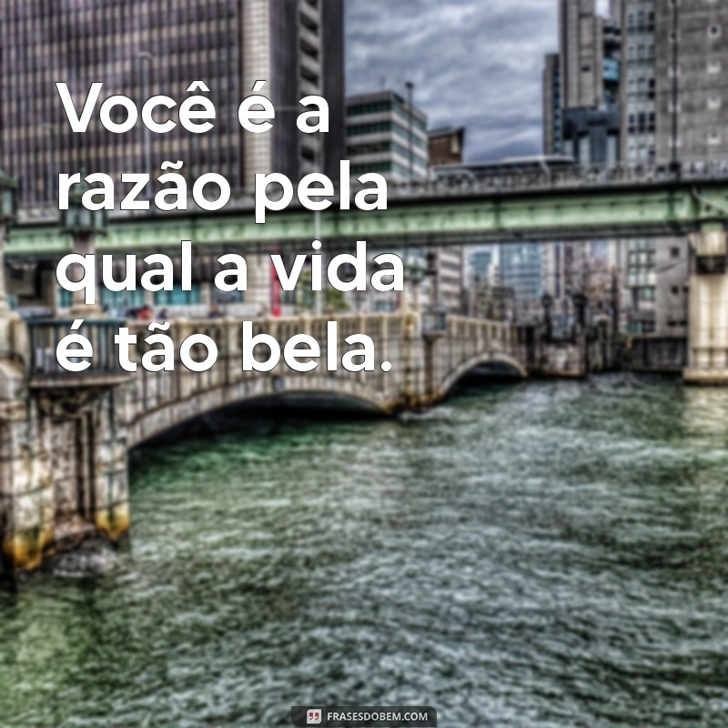 Descubra as Melhores Frases para Celebrar o Amor entre Apaixonados 