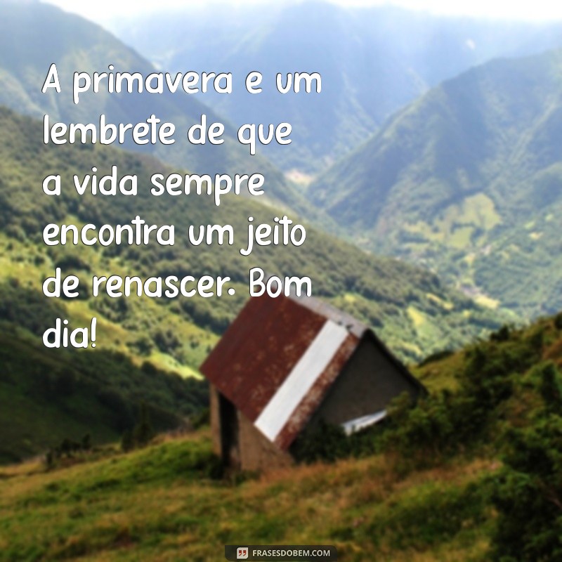 Flores e Frases de Bom Dia: Inspirações para Começar o Dia com Alegria 