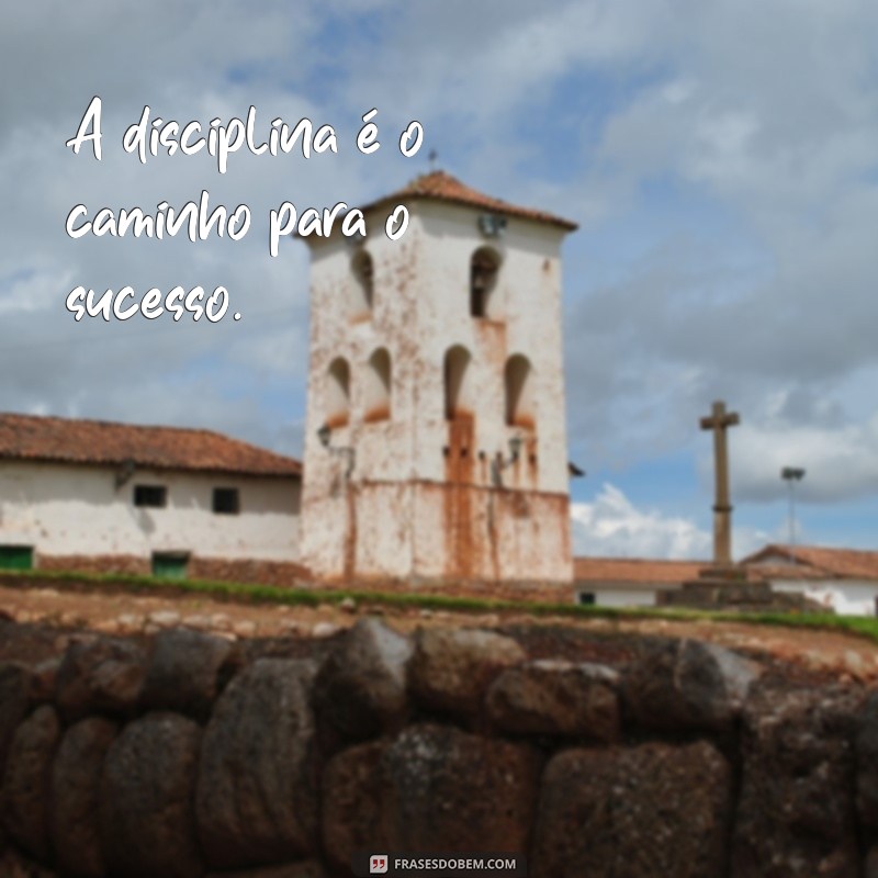 disciplina frases curtas A disciplina é o caminho para o sucesso.