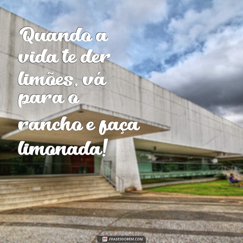 Frases Inspiradoras para Fotos Country Femininas: Atraia Curtidas e Compartilhamentos 