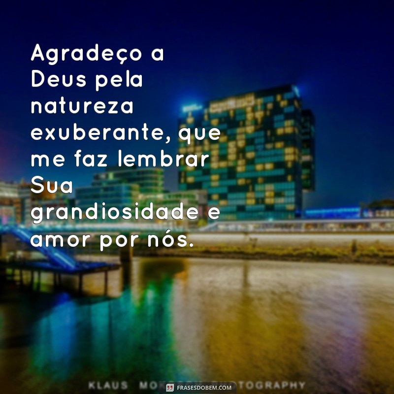 Descubra as melhores frases de agradecimento a Deus para expressar sua gratidão 